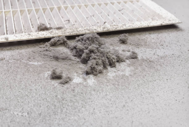 Best Air Duct Cleaning Near Me  in West Lealman, FL