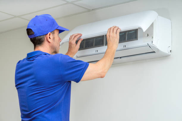 Air Duct Mold Removal in West Lealman, FL